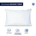 Memory-fiber1