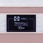 231107-ROSE-Ecom-AMBIENTE-PERSPECTIVA